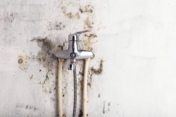Best Mold Testing  in Monroe, IA