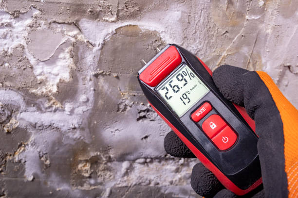 Best Same-Day Mold Removal  in Monroe, IA