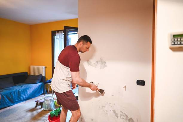 Best Professional Mold Removal  in Monroe, IA