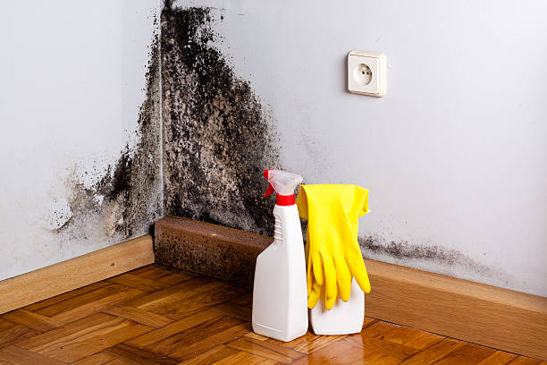 Best Crawl Space Mold Removal  in Monroe, IA